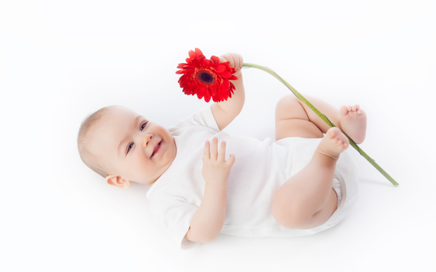 Улыбающийся младенец с цветком красной герберы на белом фоне