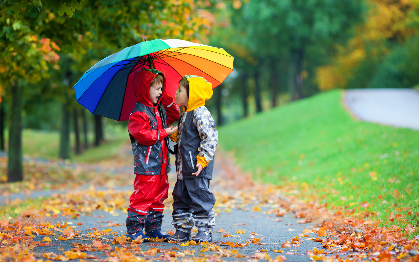 Два мальчика под разноцветным зонтом осенью