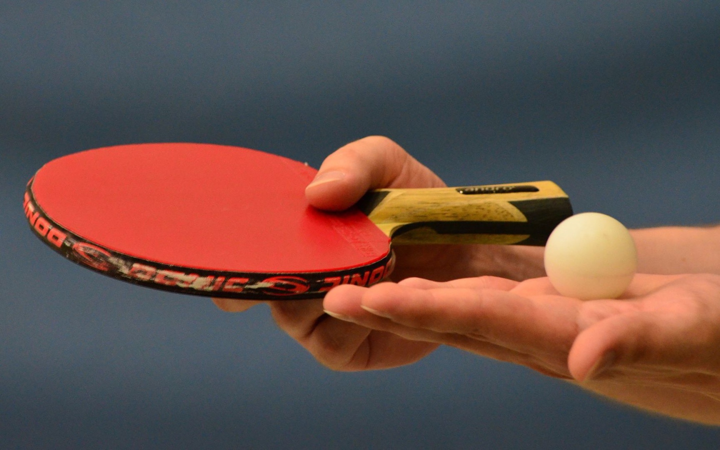 Ракетка для настольного тенниса и мяч в руке 