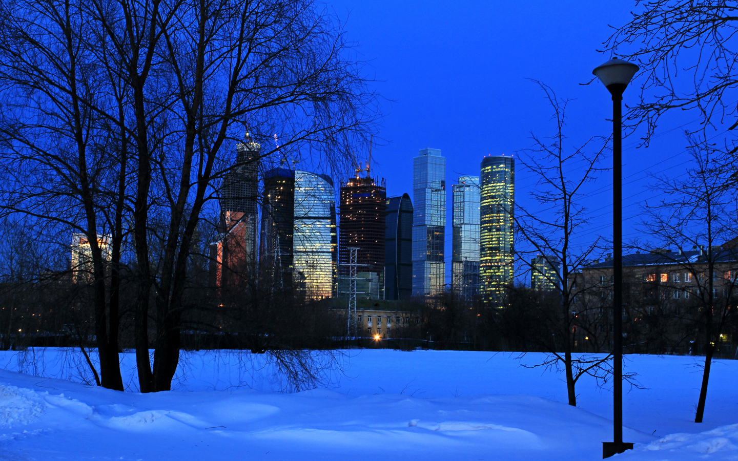 Вид на московские небоскребы из зимнего парка, Россия