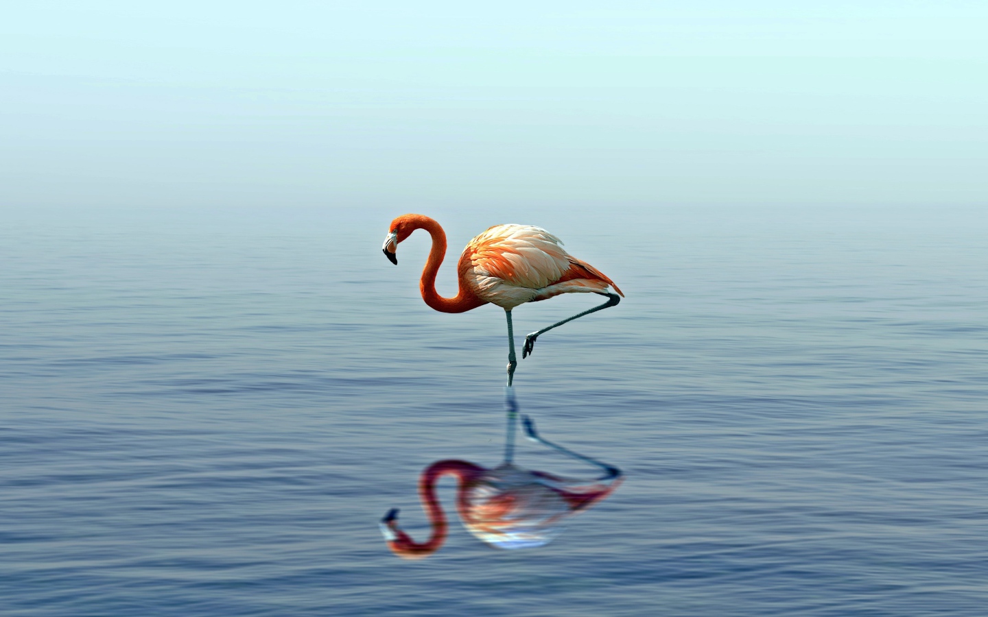 Розовый фламинго стоит на одной ноге в воде 