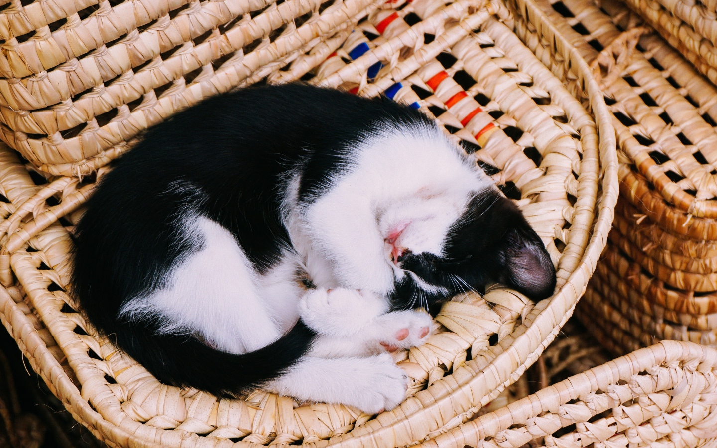 Черно-белый котенок спит в корзине