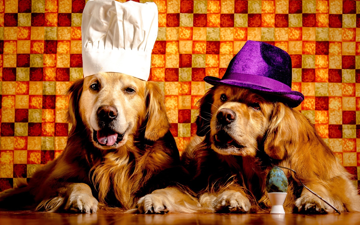 Два забавных золотистых ретривера в шапках