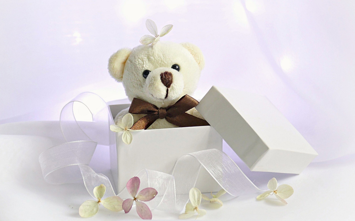 Белый плюшевый медведь в подарочной коробке