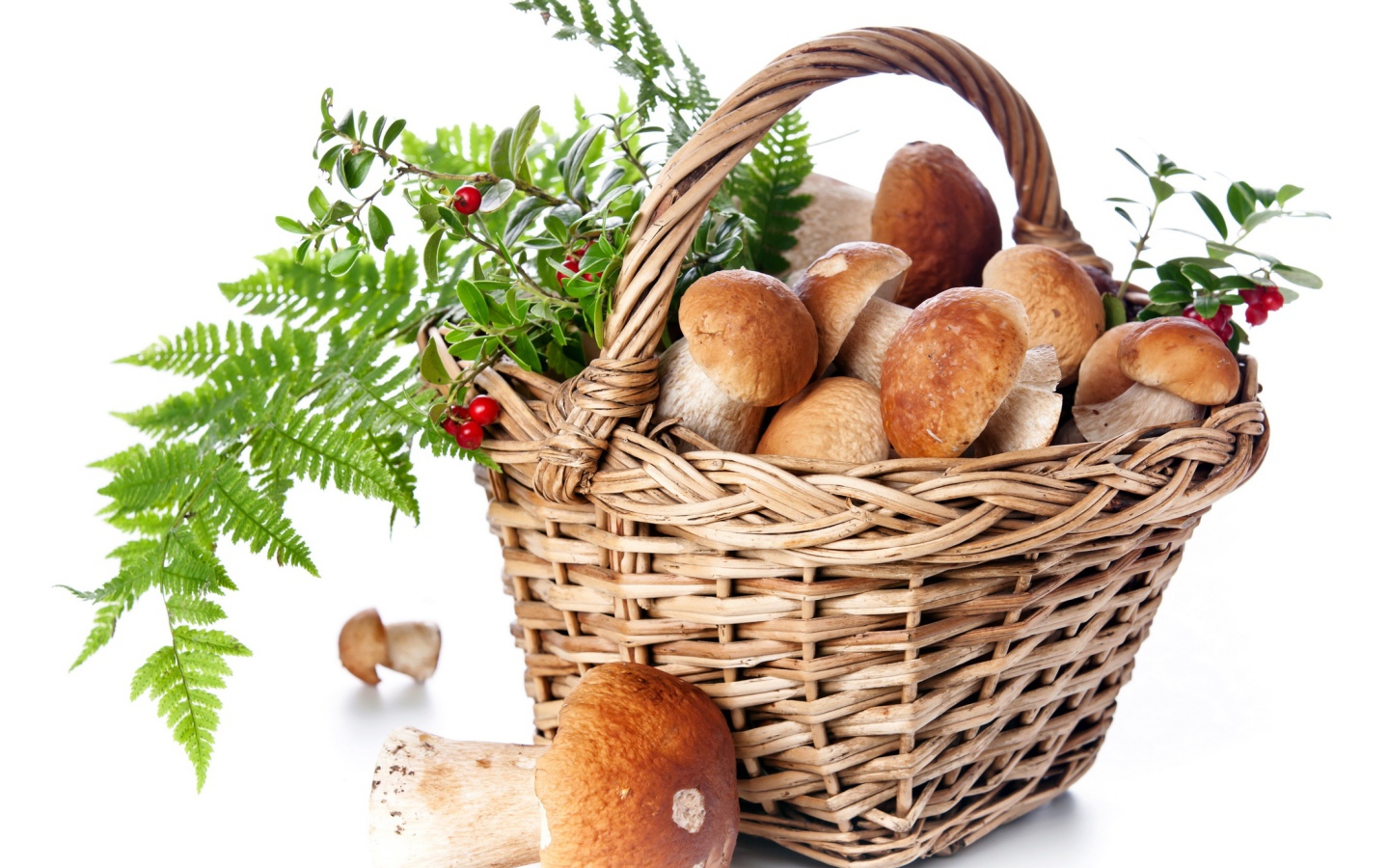 Большая корзина грибов с ягодами на белом фоне