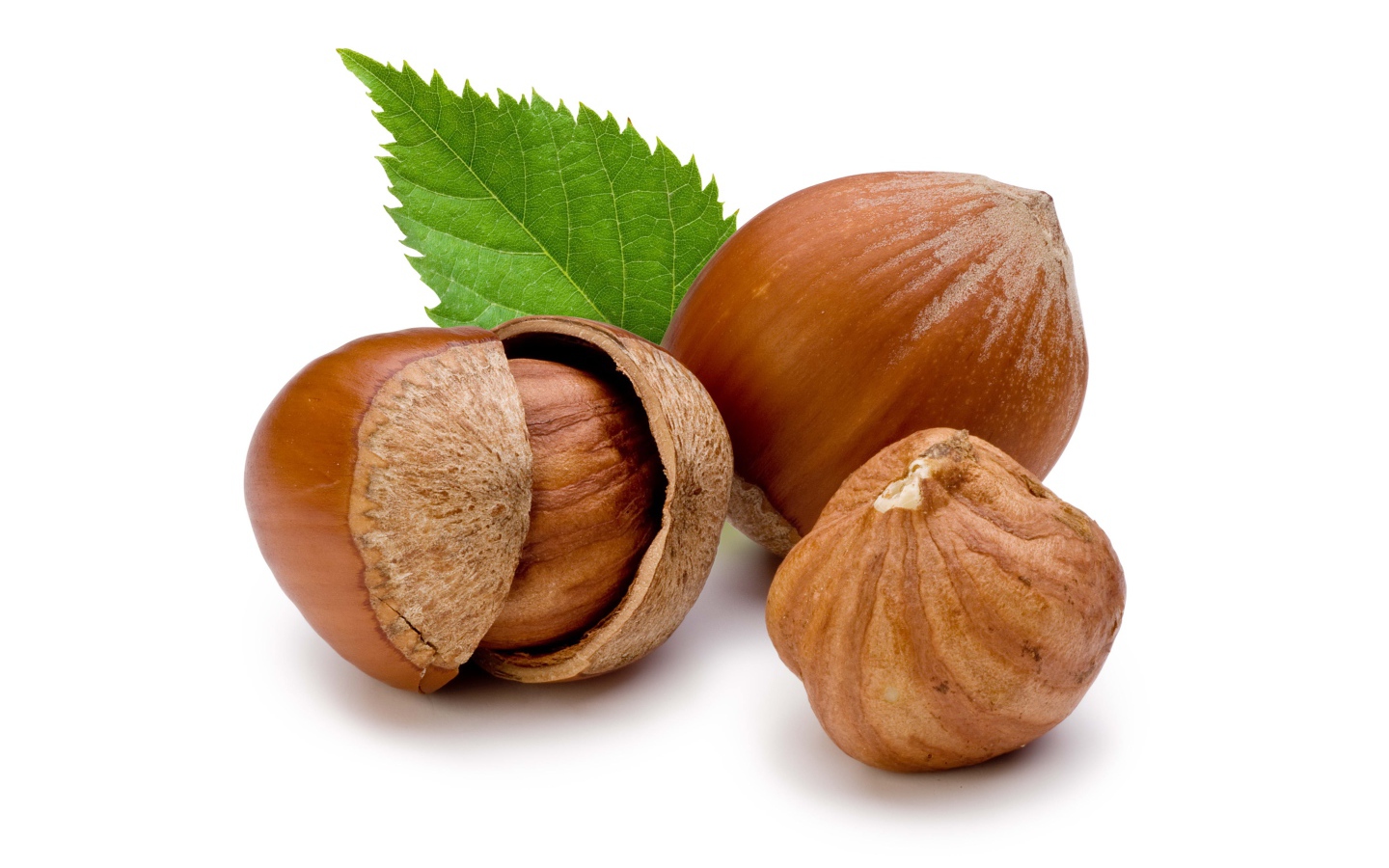 Три лесных ореха на белым фоне крупным планом
