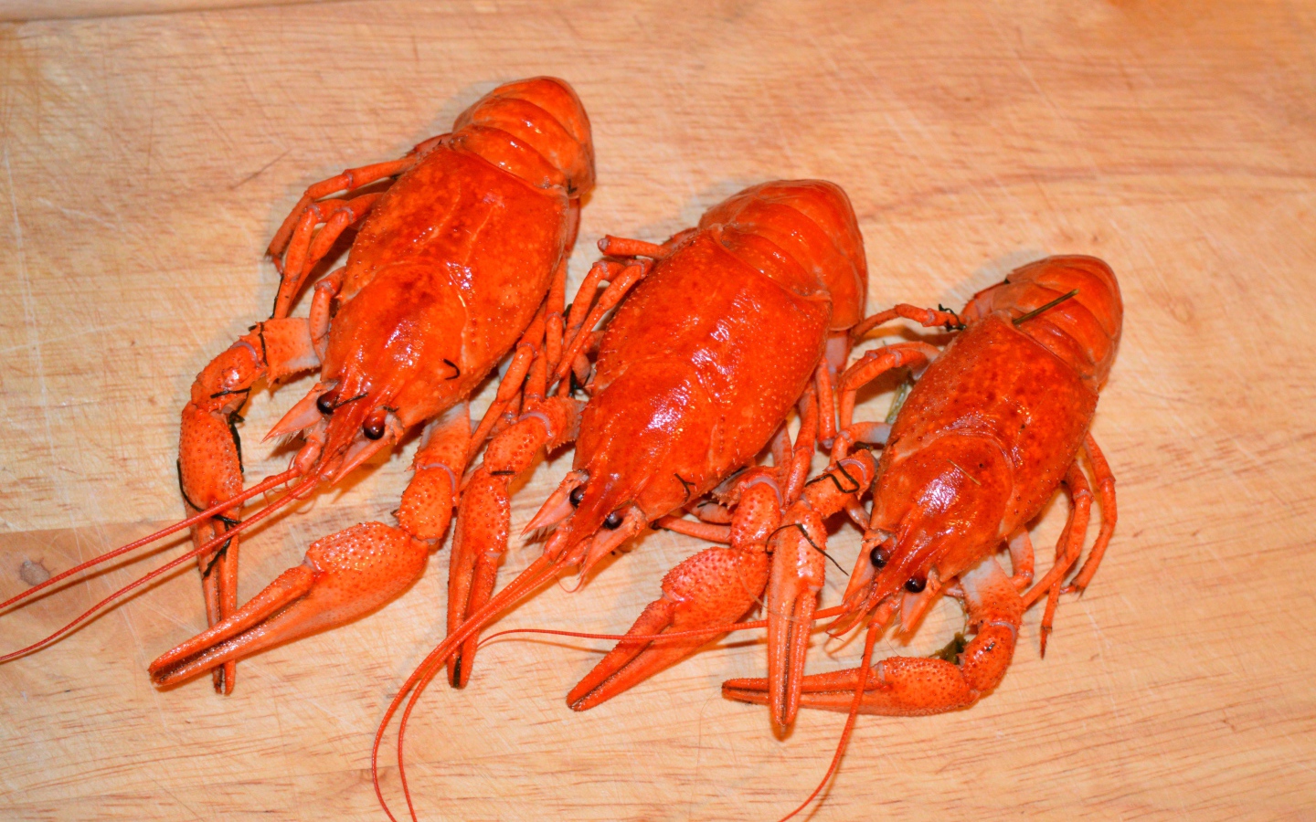 Три красных вареных рака лежат на деревянном столе