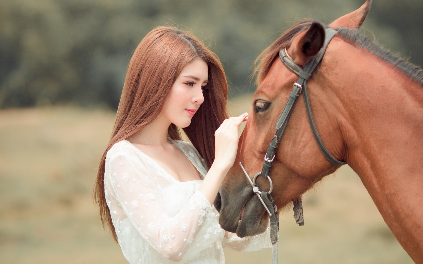 Красивая длинноволосая азиатка гладит лошадь