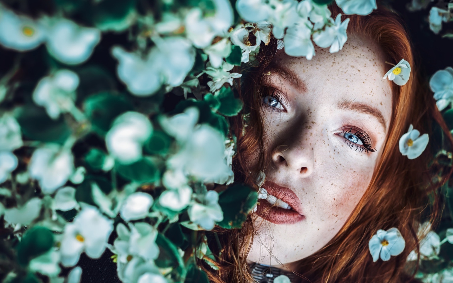 Рыжеволосая девушка с веснушками в белых цветах 