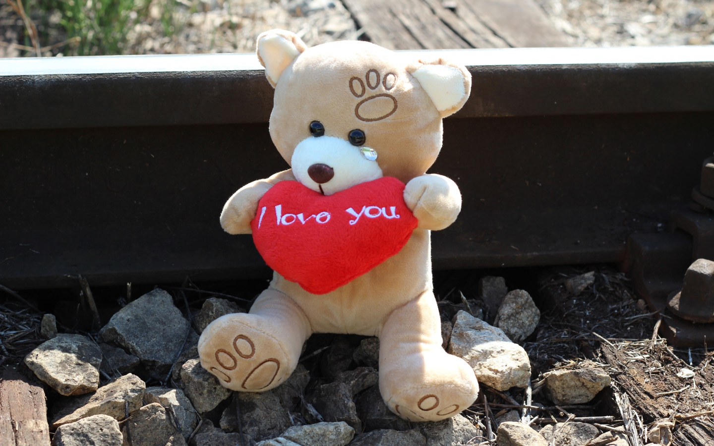 Игрушечный медведь с красным сердцем сидит на рельсах 