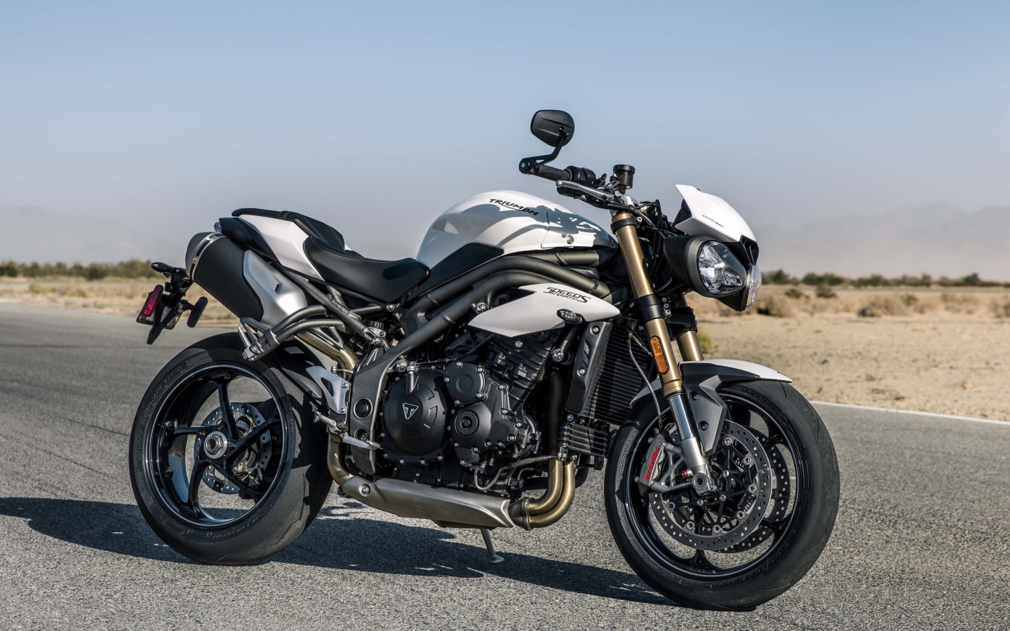 Мотоцикл Triumph Speed Triple S, 2018 на трассе