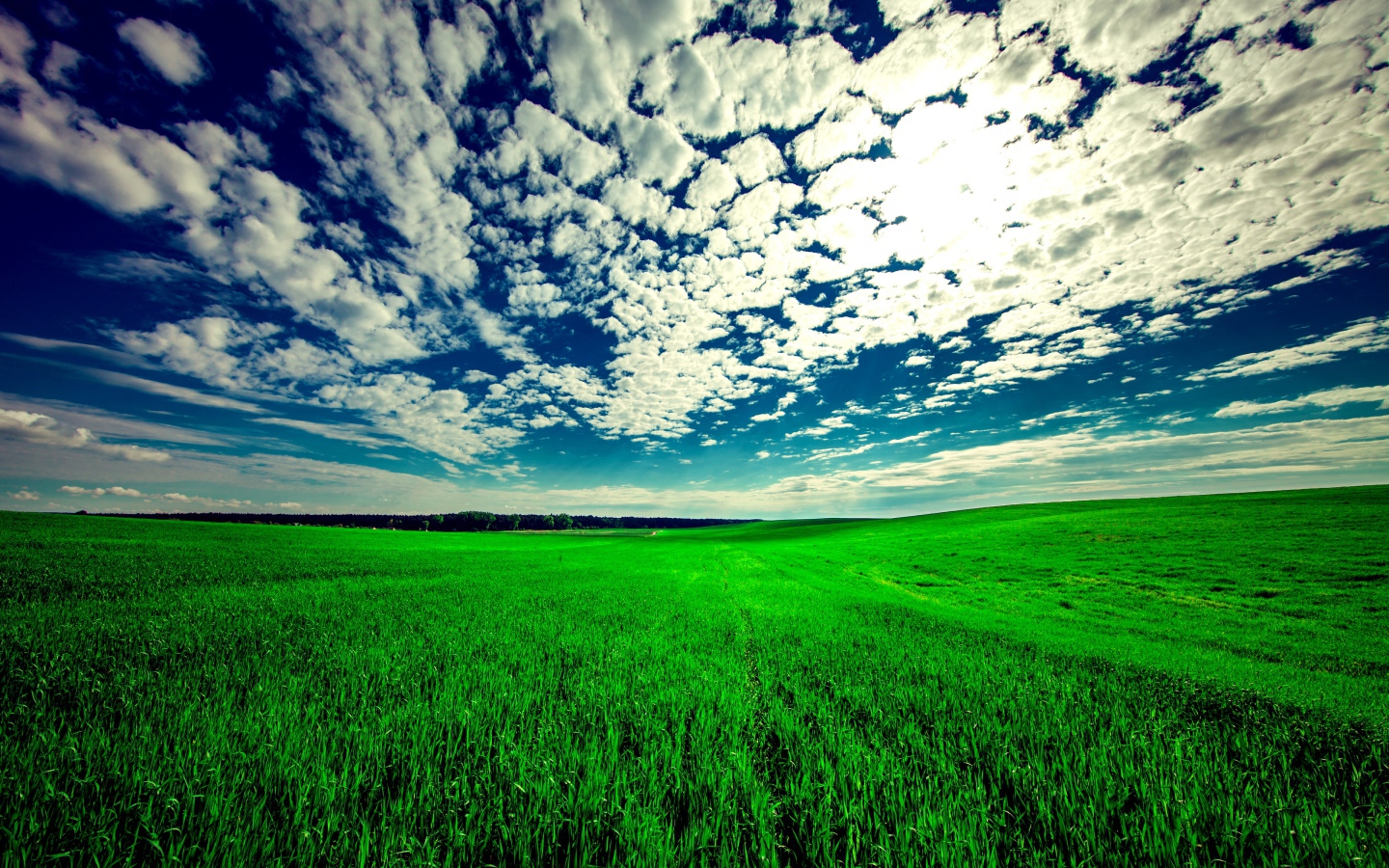 Красивые белые облака в голубом небе над зеленым полем