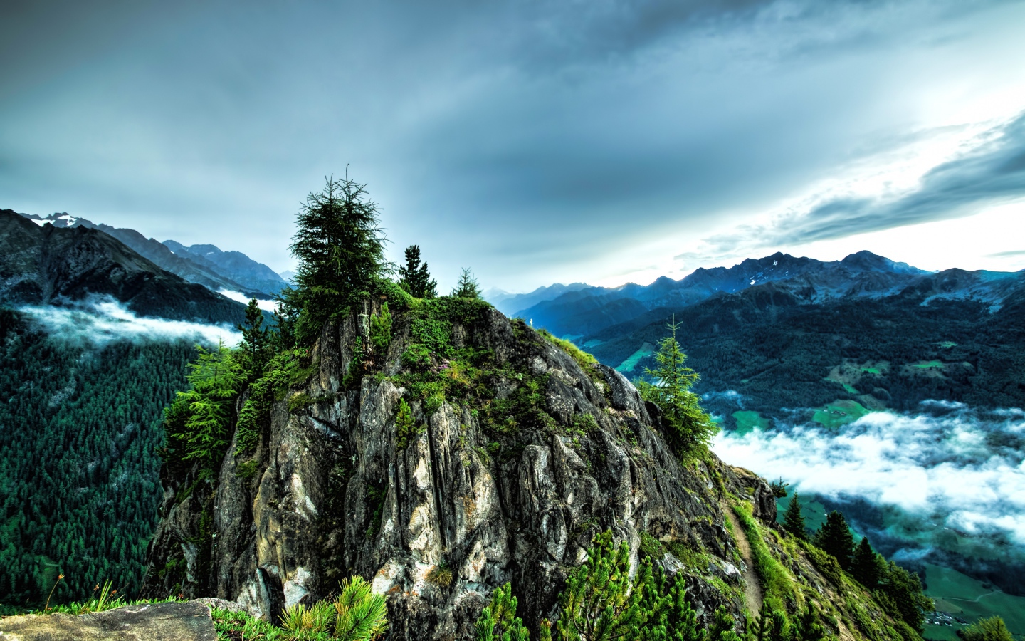 Ели на вершине скалы под  пасмурным небом 