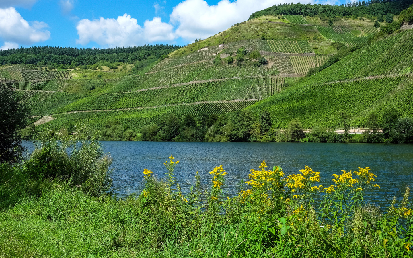 Зеленые поля на фоне реки