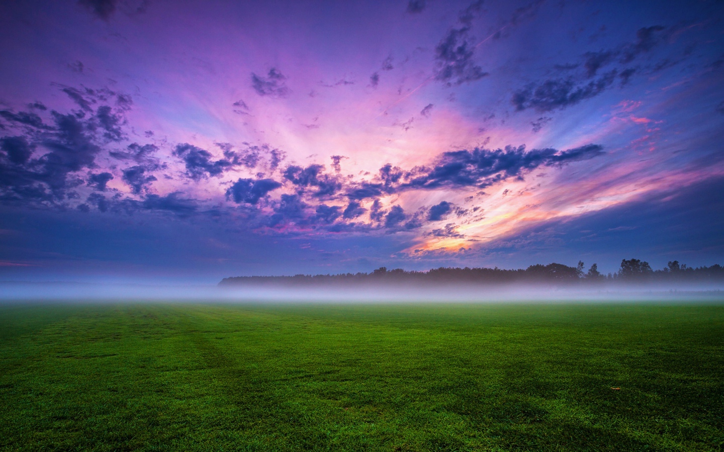 Утренний туман над полем под красивым небом