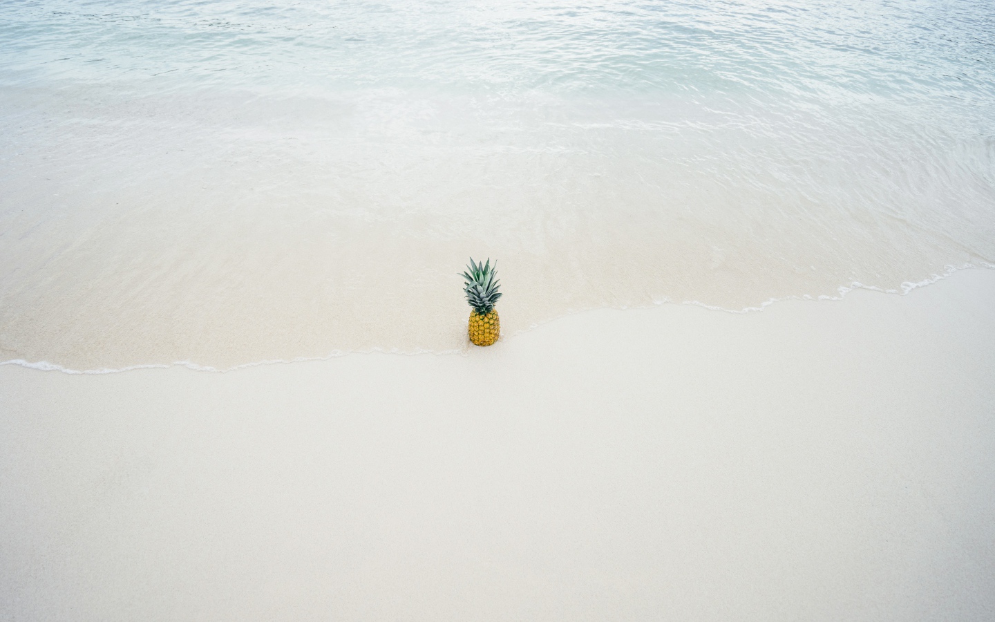 Pineapple in surf waves