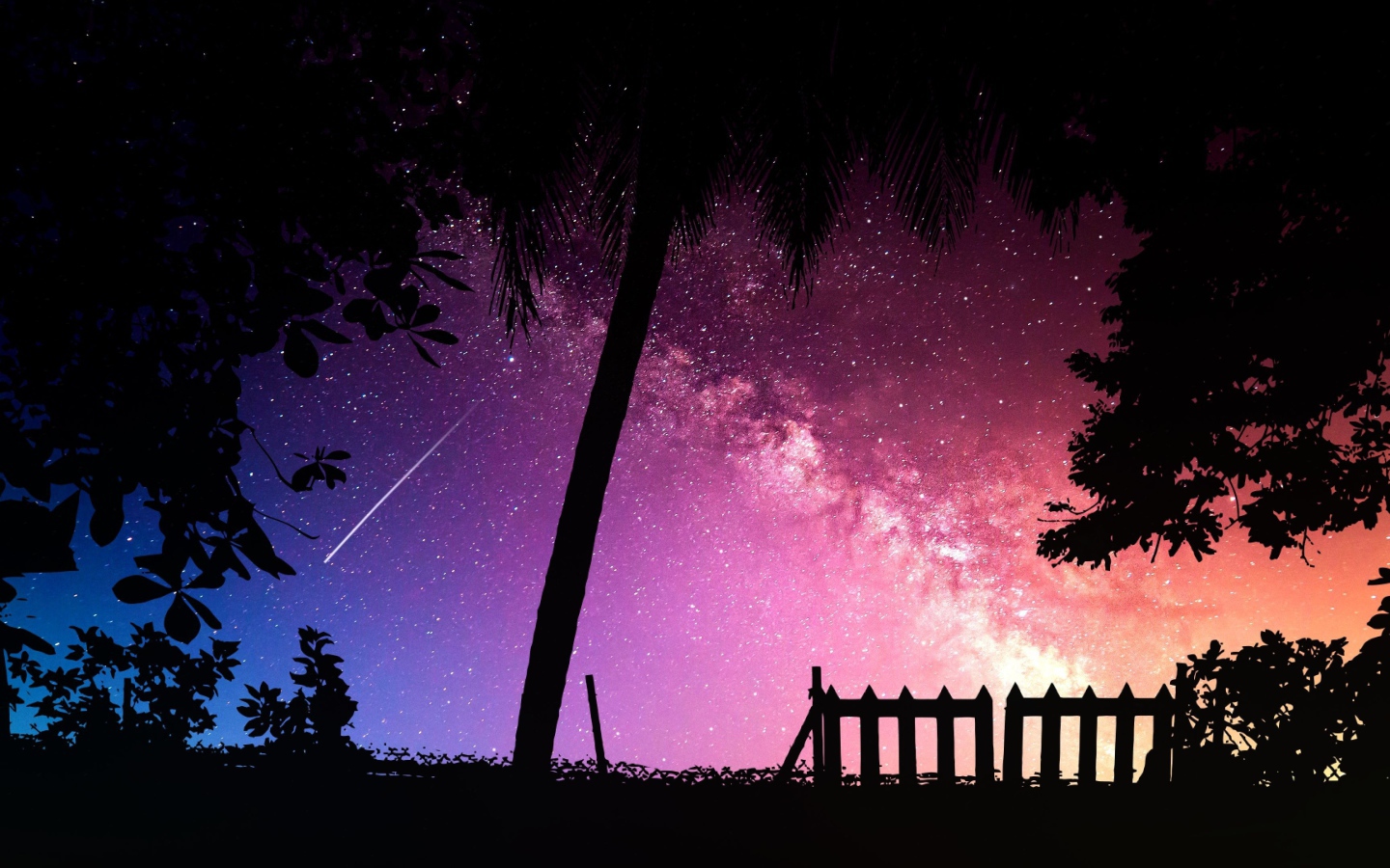 Силуэты деревьев на фоне звездного неба