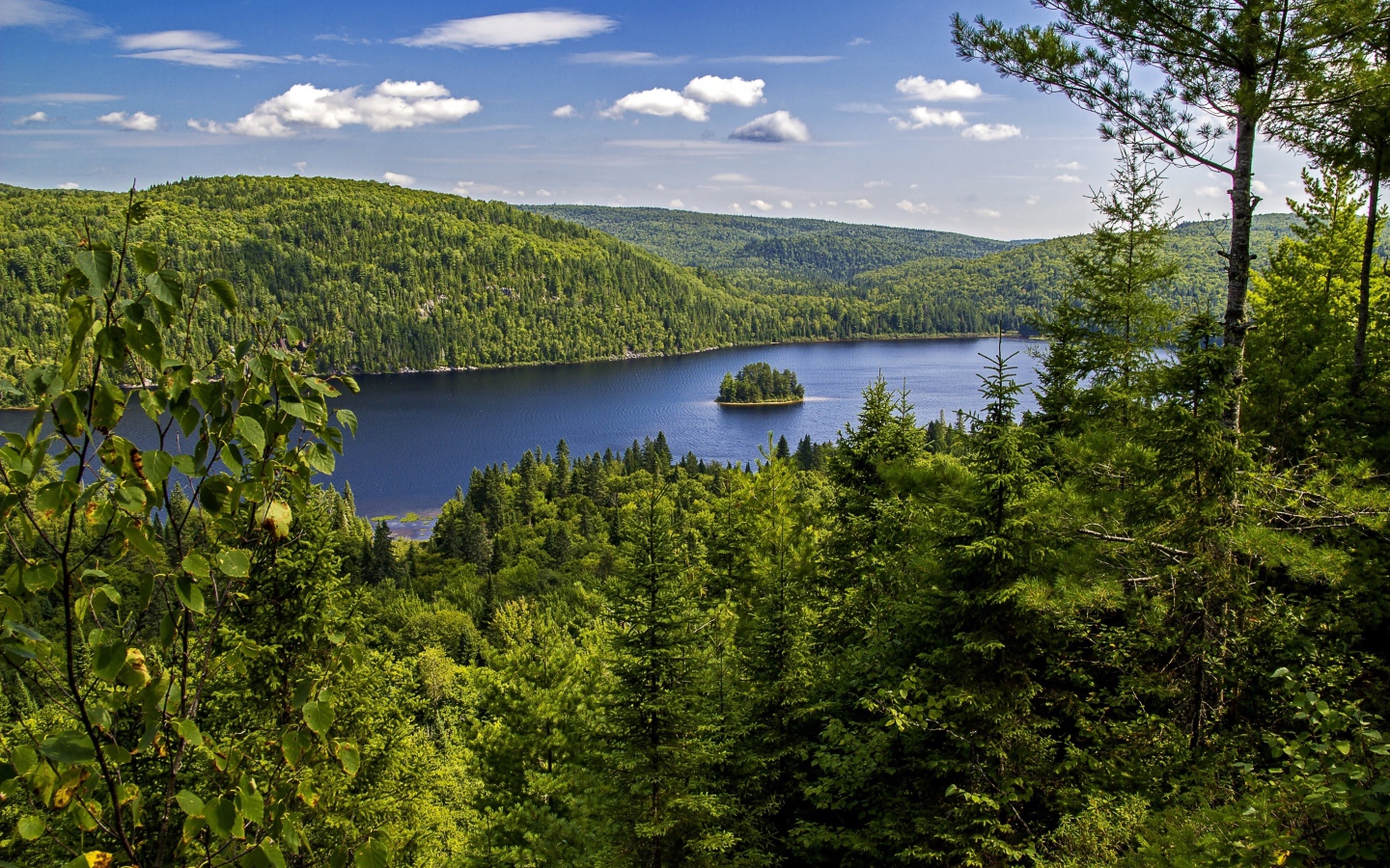 Вид на реку и лес под красивым голубым небом, национальный парк Ла-Мориси. Канада