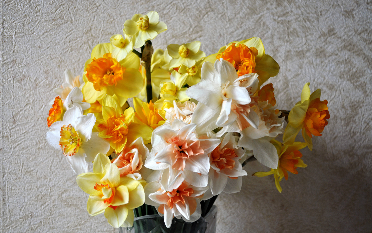 Красивый букет разноцветных нарциссов