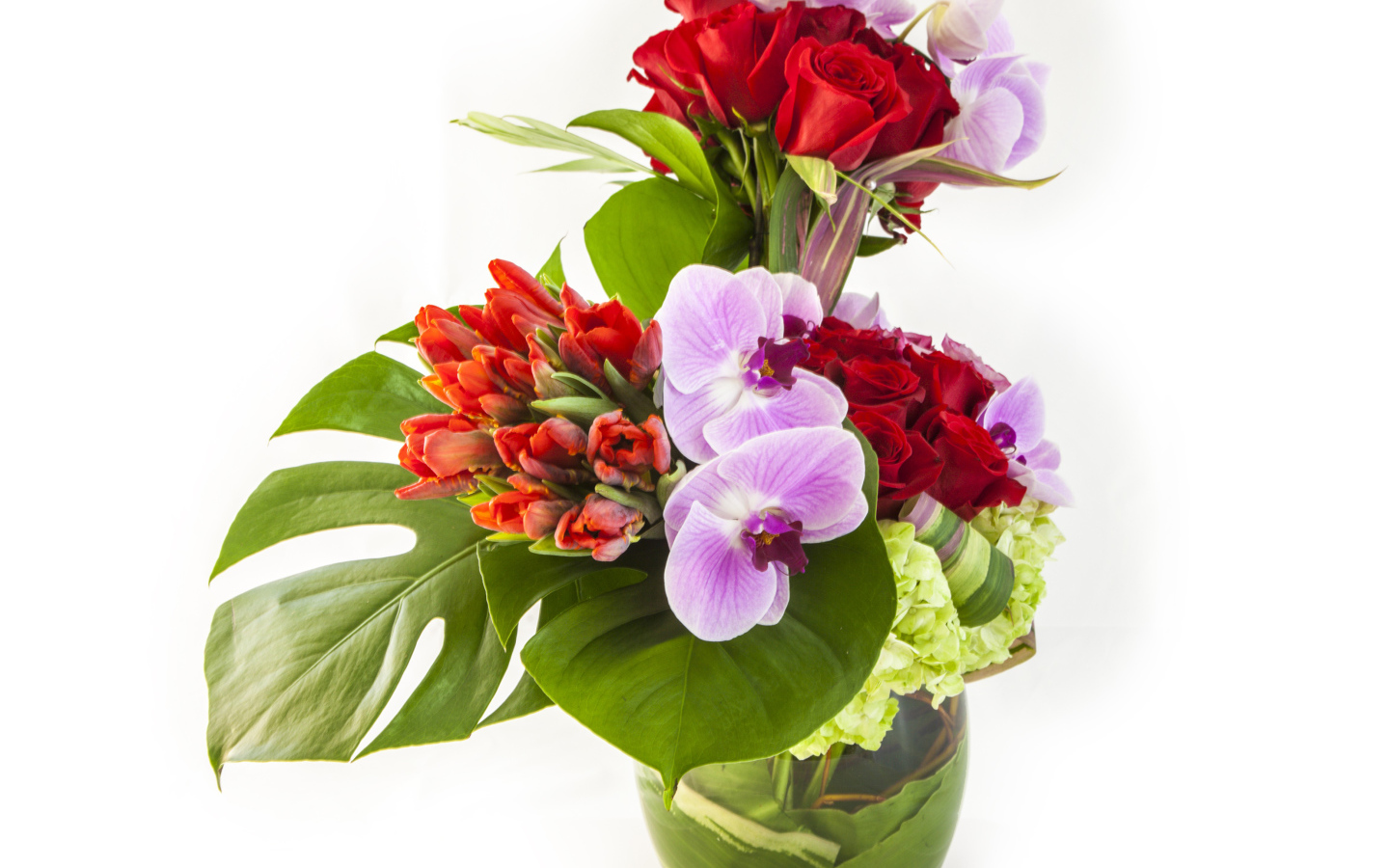 Красивые цветы в стеклянной вазе на белом фоне