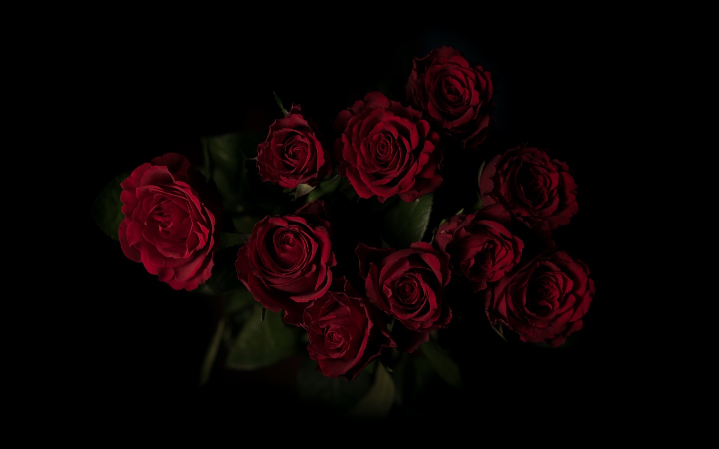 Букет красивых бордовых роз на черном фоне