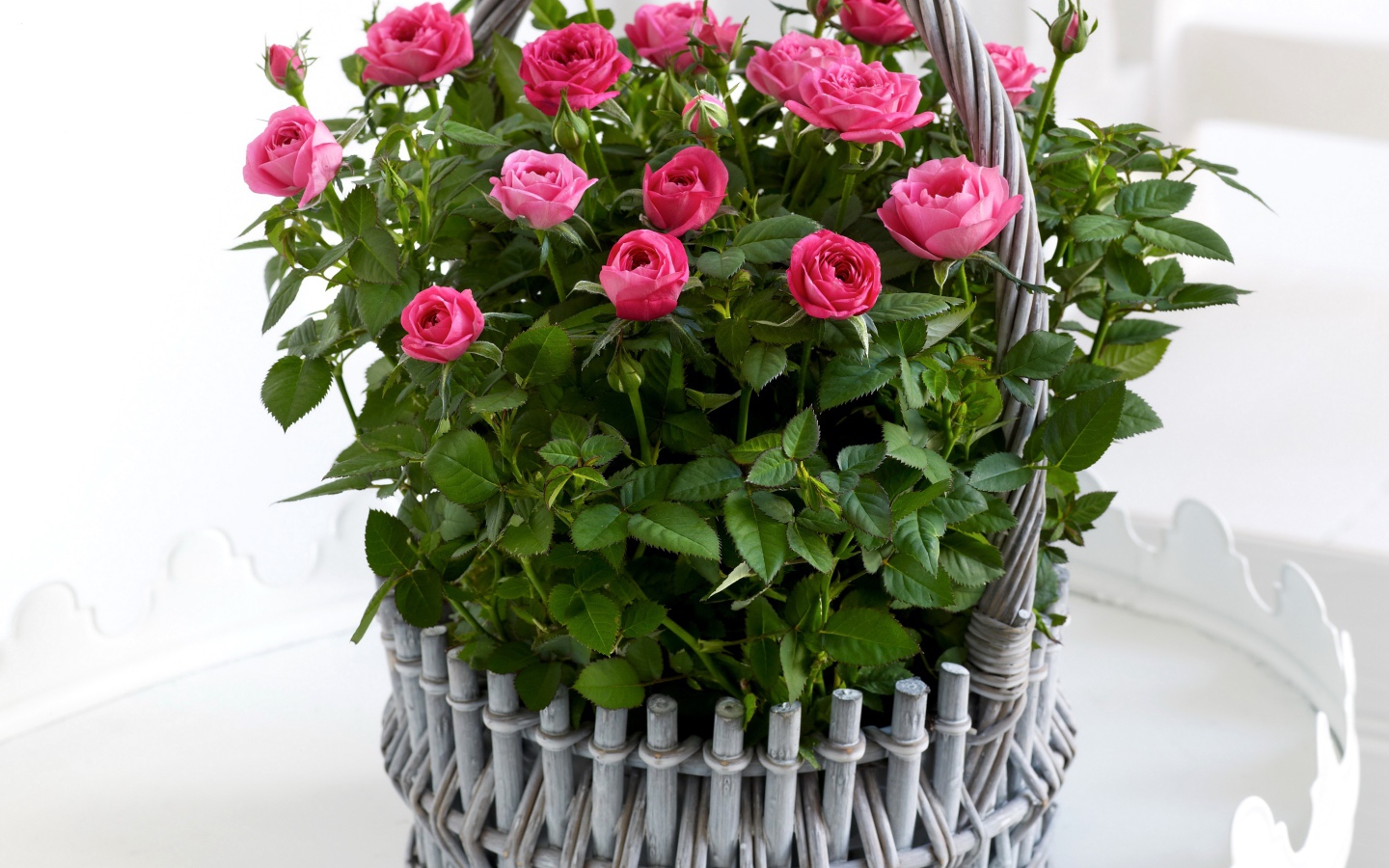 Букет розовых роз в серой корзине на белом фоне