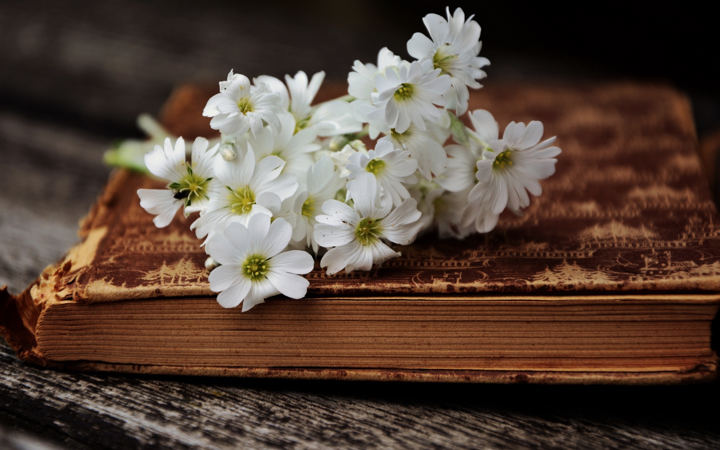 Букет белых нежных цветов на старой книге 