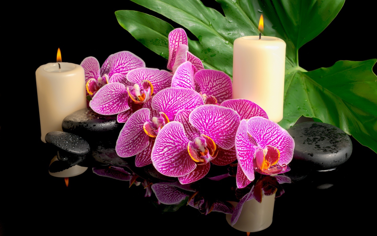 Розовые орхидеи с черными камнями и зажженными свечами