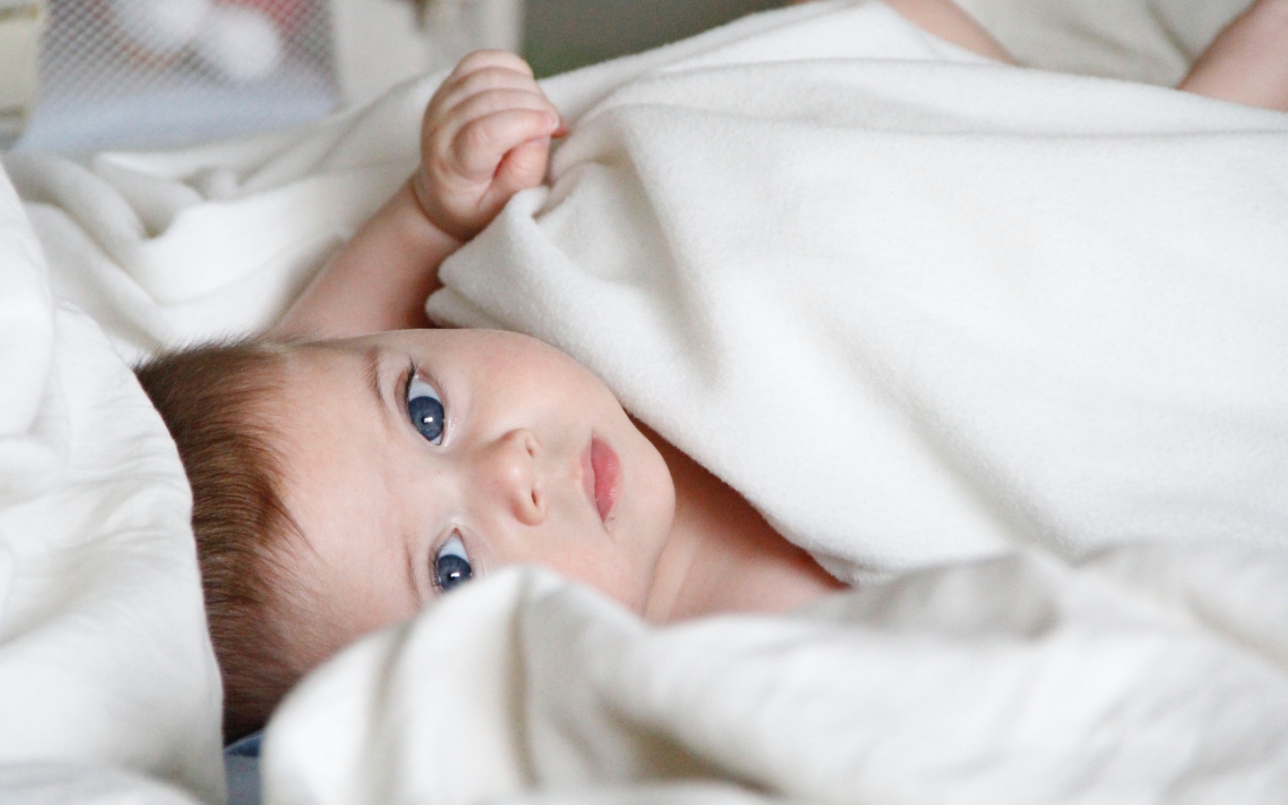 Маленький голубоглазый мальчик под белым покрывалом