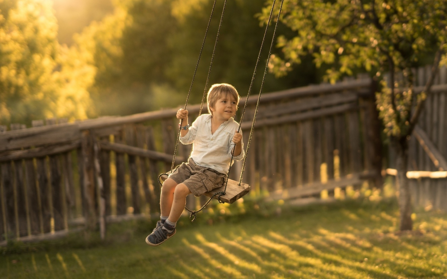 Маленький мальчик катается на качели летом
