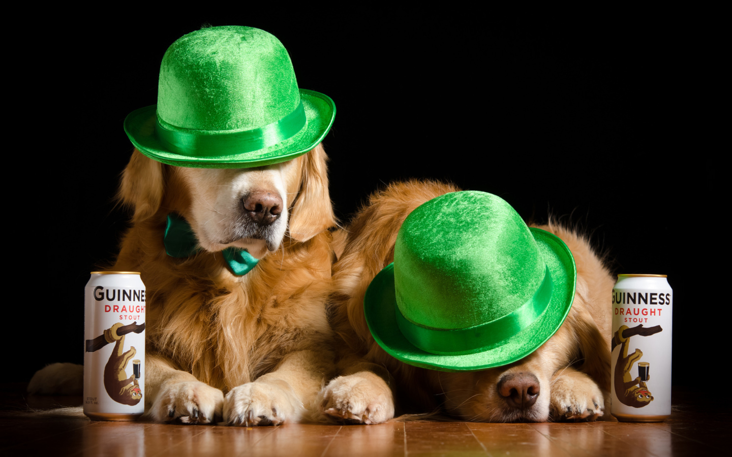 Два золотистых ретривера в зеленых шляпах