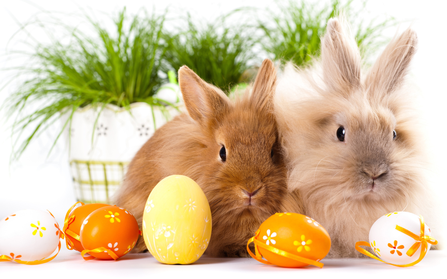 Two fluffy decorative bunnies with painted eggs