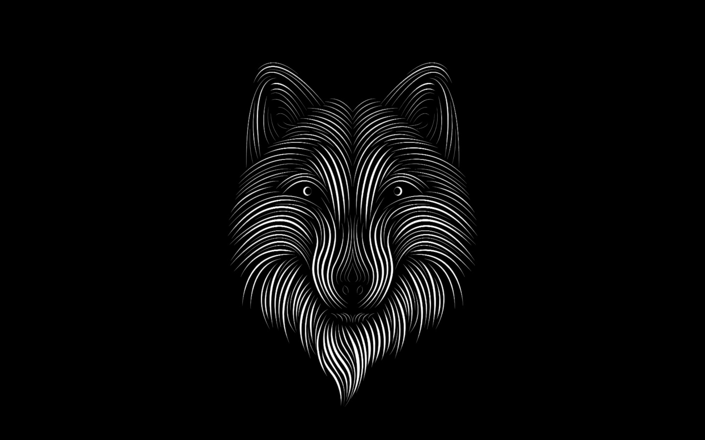 White wolf on black background