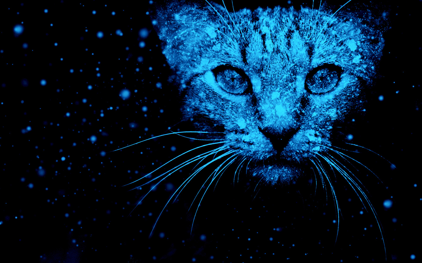 Неоновый фантастический кот на черном фоне 