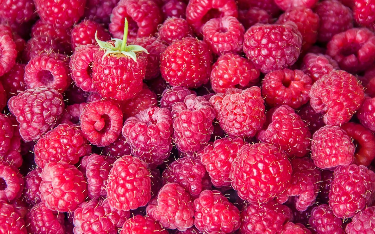 Вкусная спелая малина крупным планом