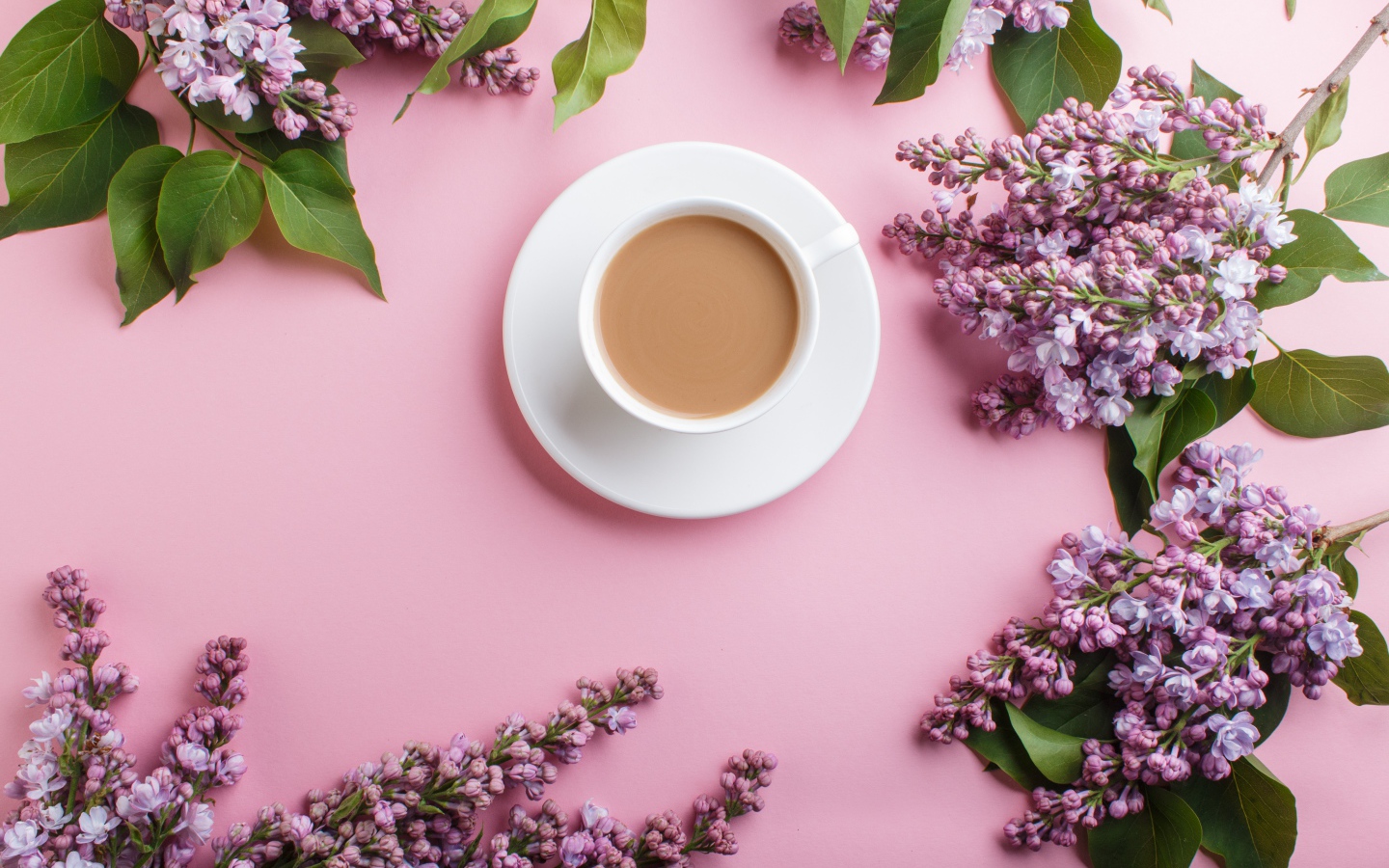 Белая чашка с какао на розовом фоне с цветами сирени