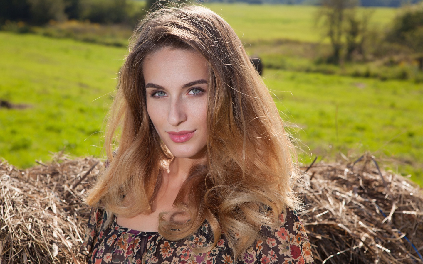 Красивая девушка с серыми глазами стоит у сена