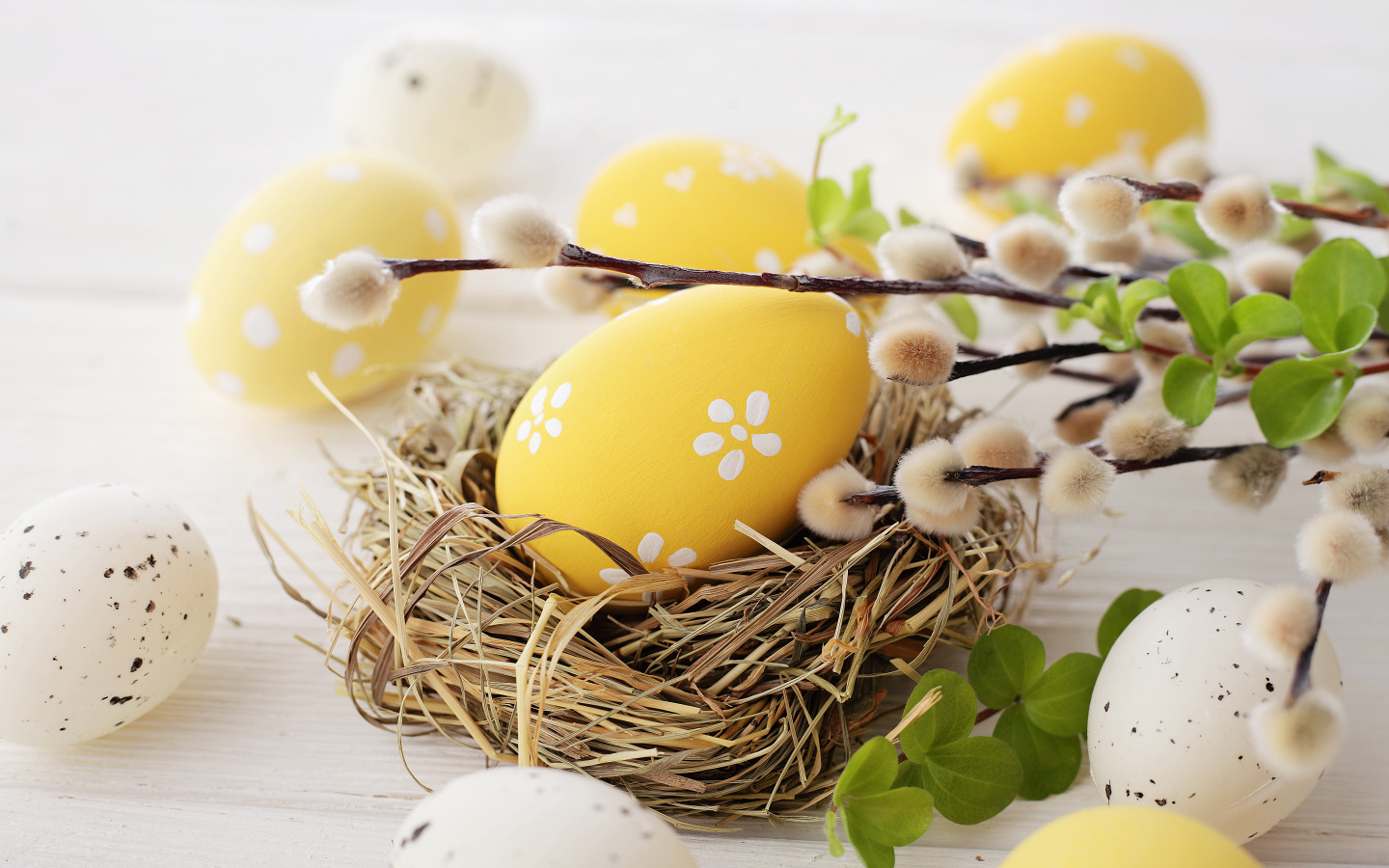 Ветка вербы с крашеными яйцами к празднику Пасха