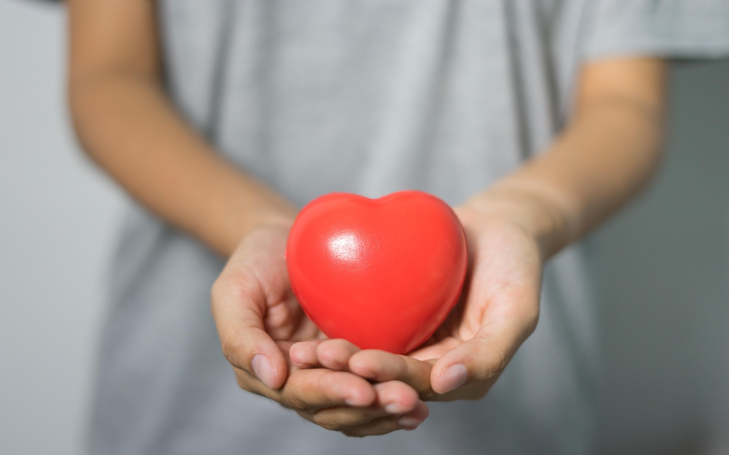 Красное сердце в ладонях 
