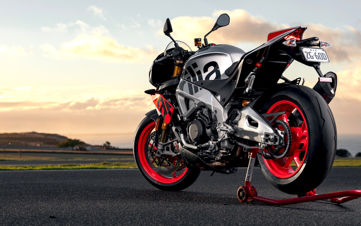 Мотоцикл Aprilia Tuono V4 1100 Factory 2019 года вид сзади