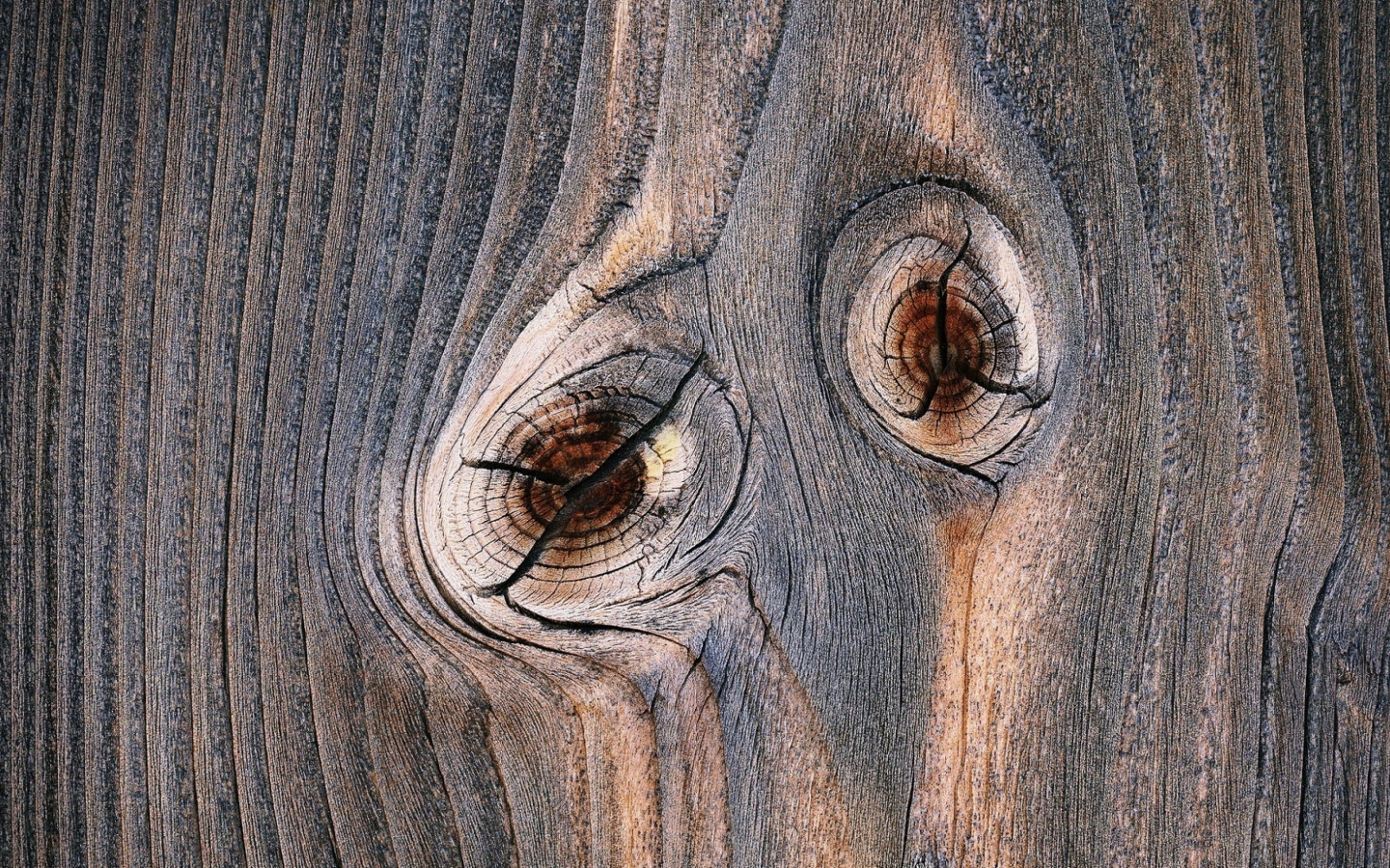 Следы от сучков с деревянной доске 