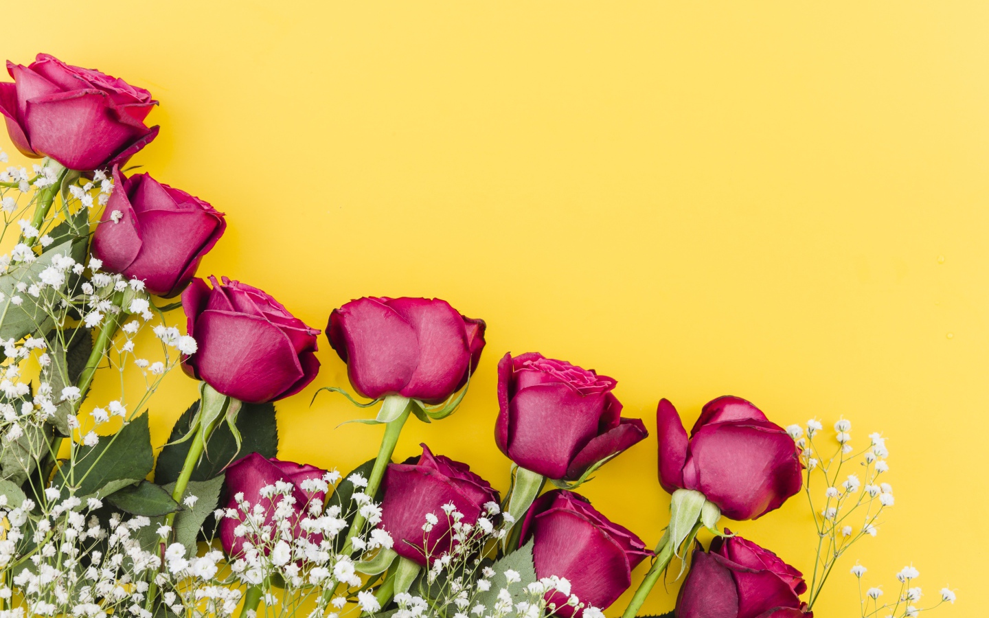 Букет роз с белыми цветами гипсофилы на желтом фоне