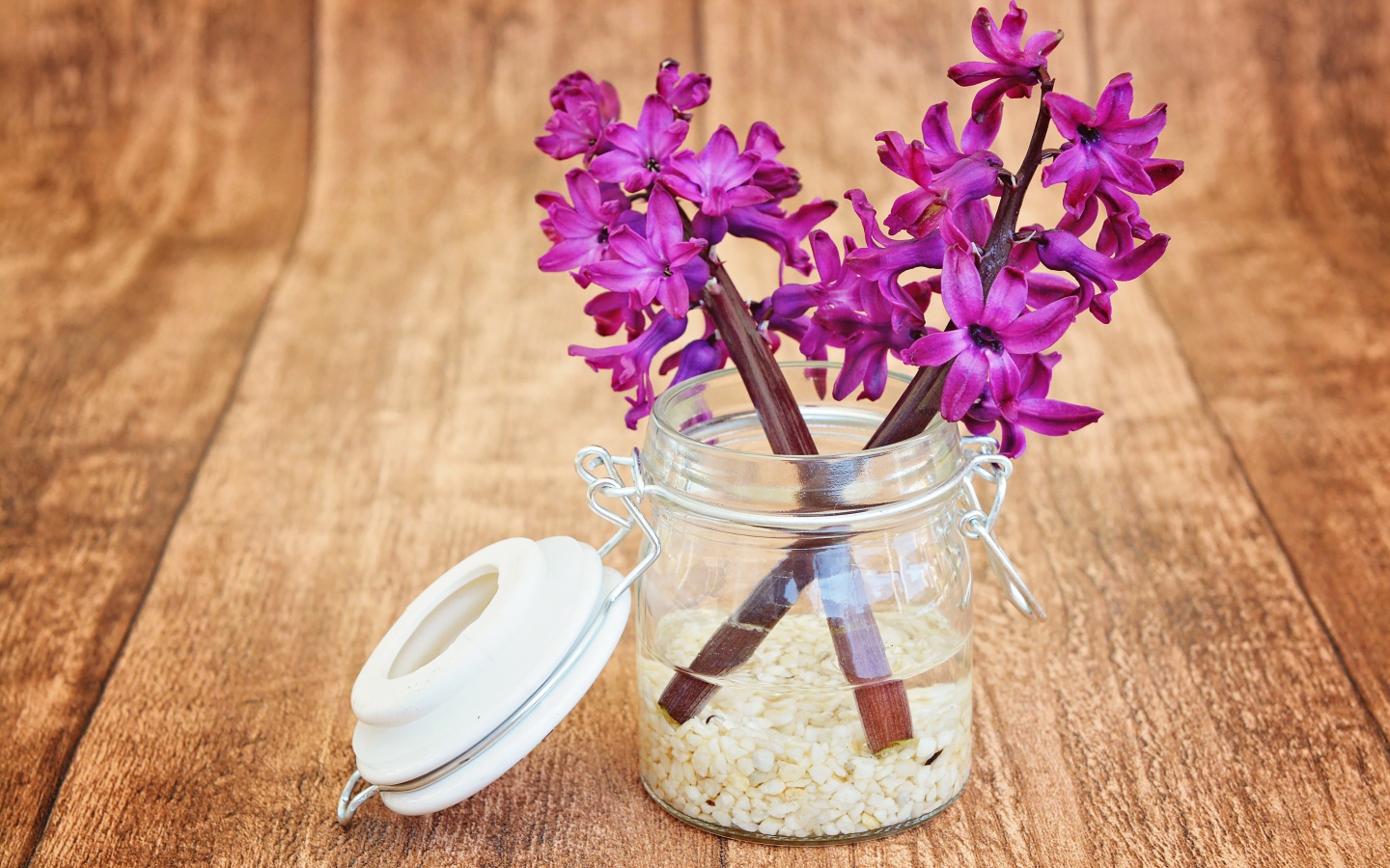 Розовые гиацинты в банке на деревянном столе