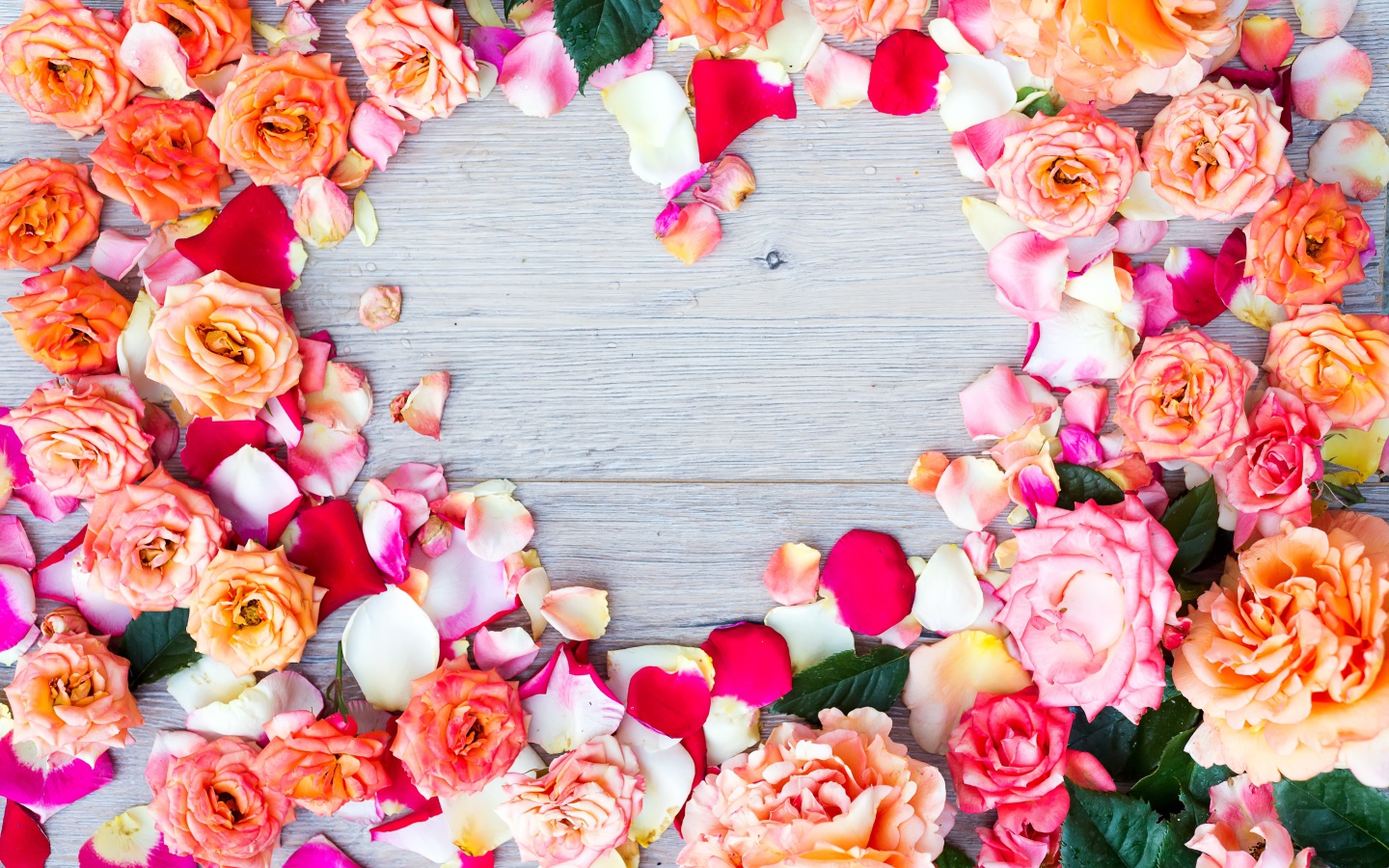 Бутоны роз на сером фоне крупным планом