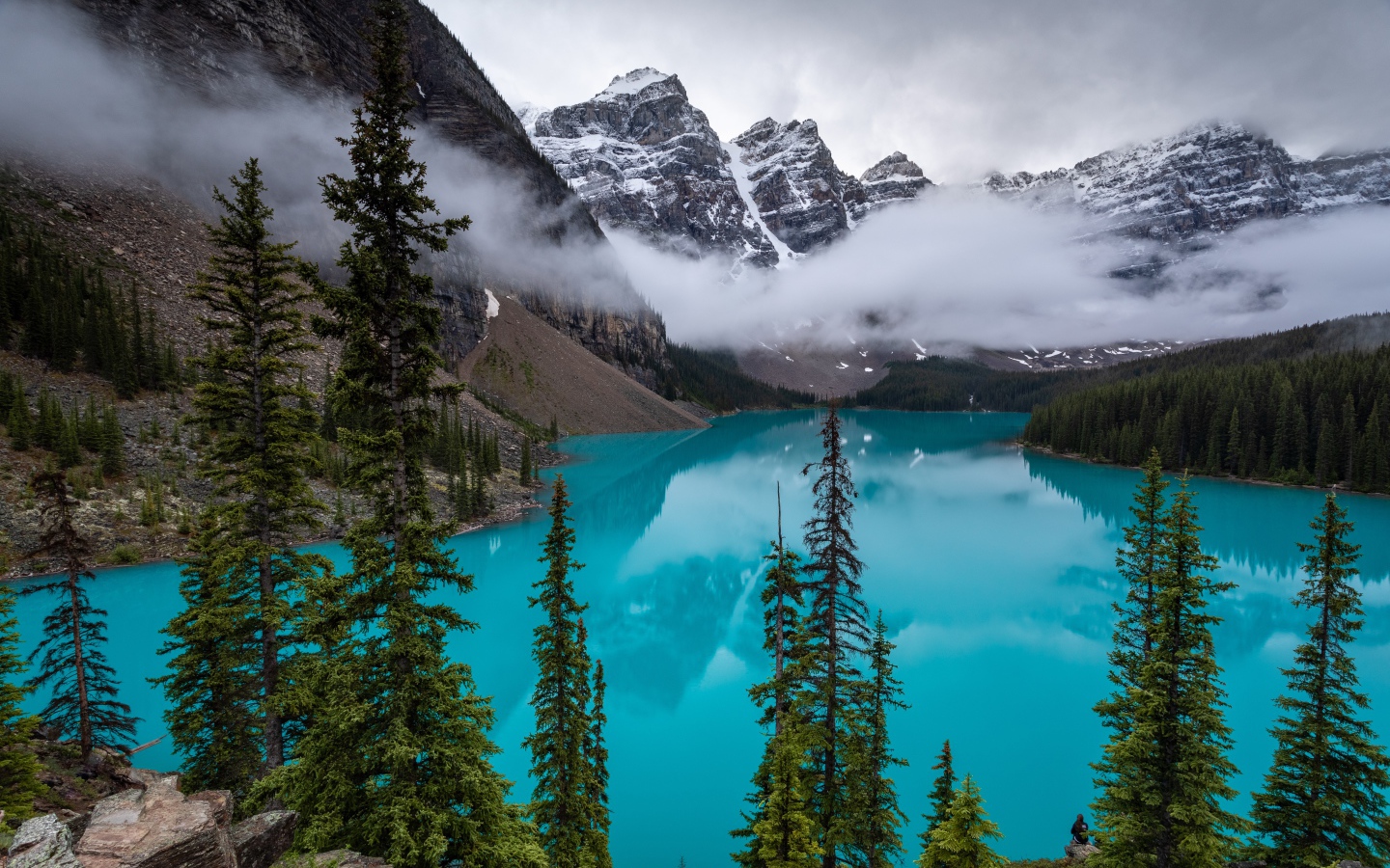 Туман над голубой водой озера в горах у леса