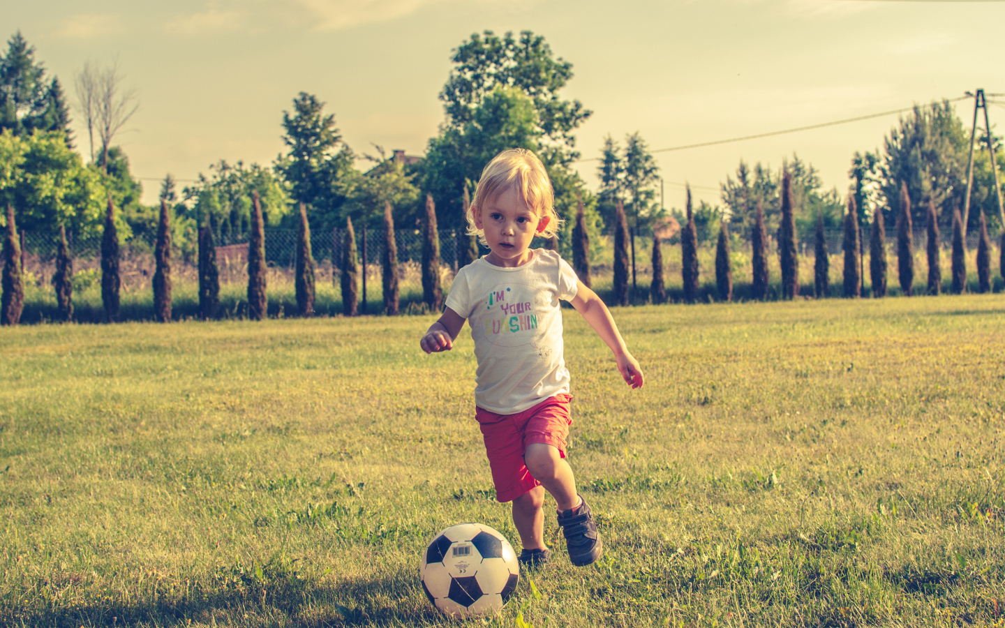 Маленький мальчик играет в футбол на зеленой траве