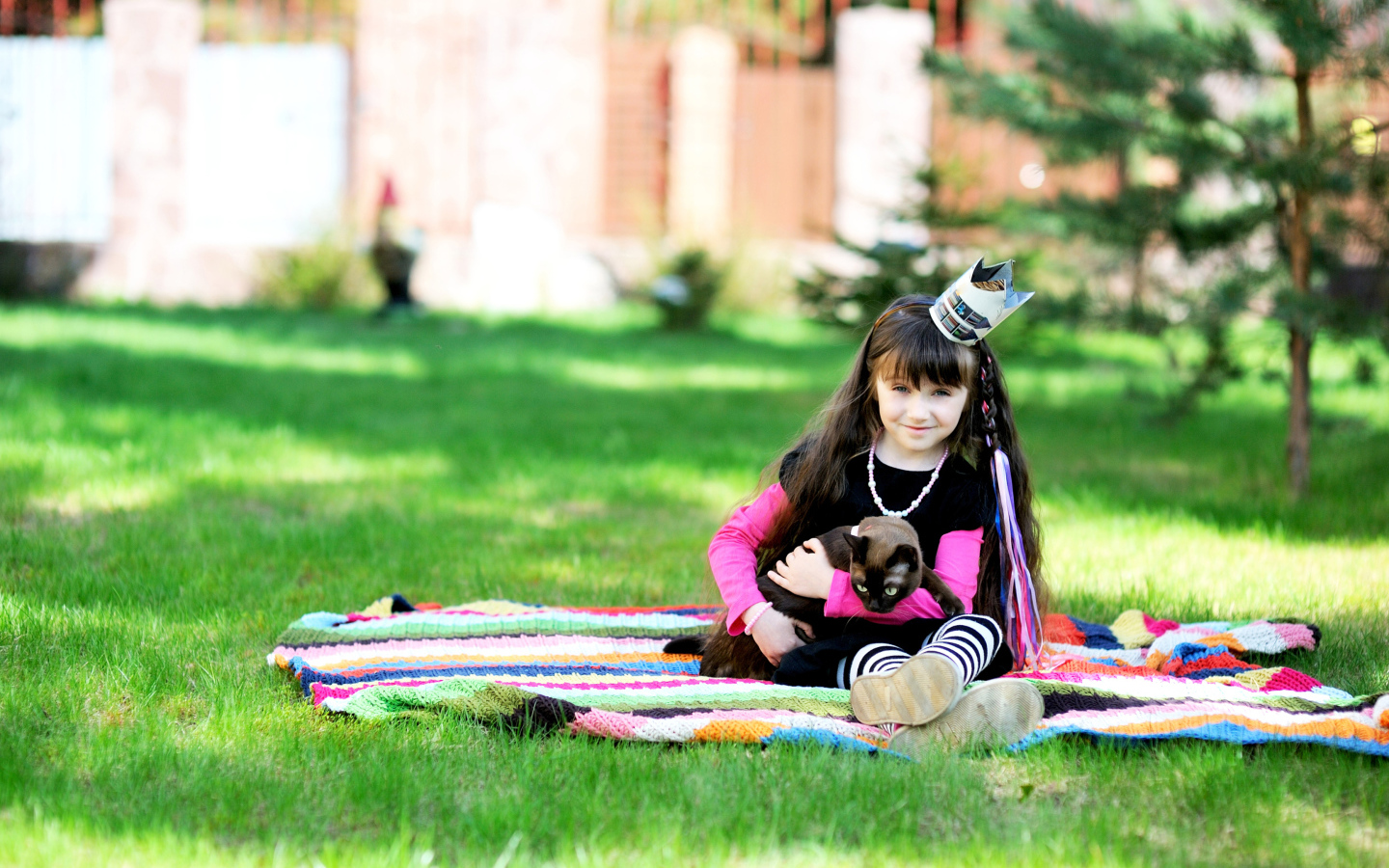 Маленькая девочка с котом сидит на зеленой траве