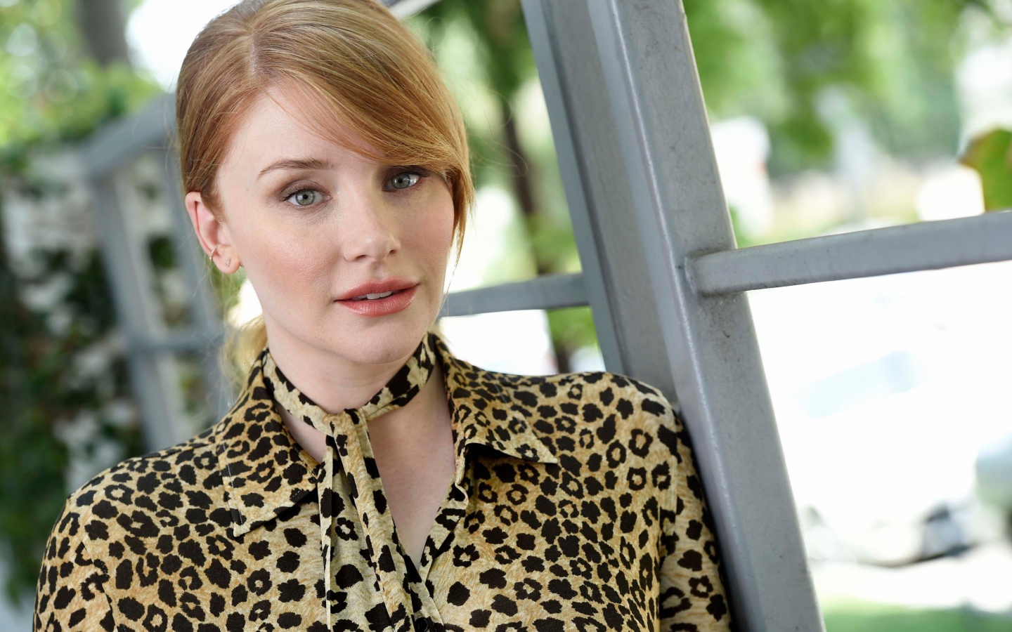 Молодая актриса Брайс Даллас Ховард с рыжими волосами