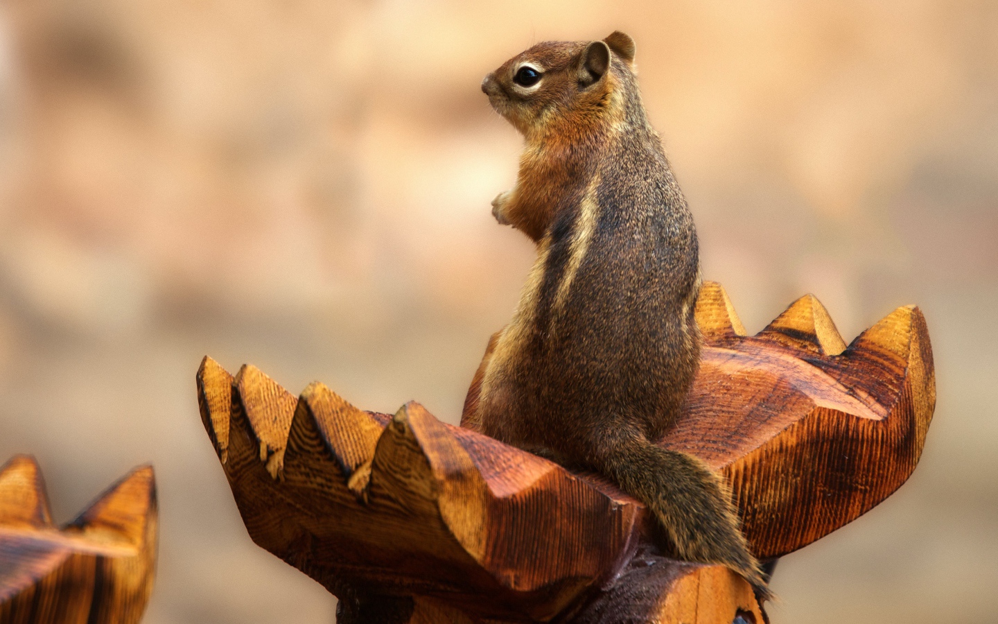 Бурундук сидит на деревянной скульптуре 