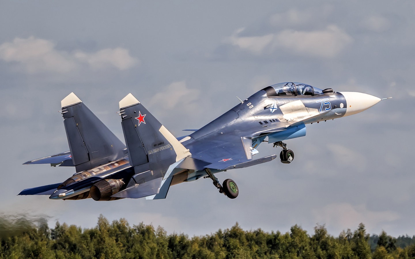 Истребитель Су-30 Su-30SM взлетает в небо 